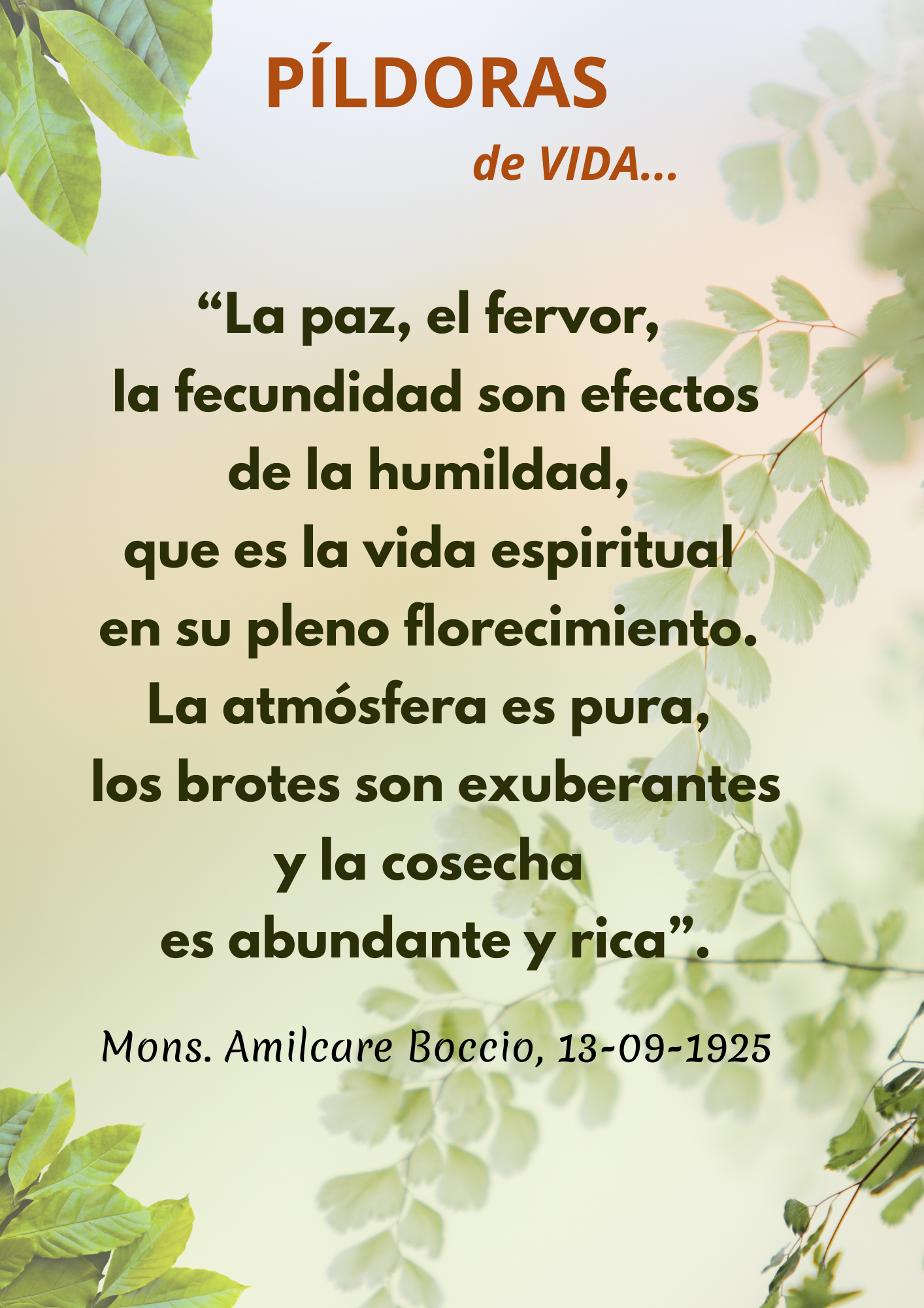 Peque�as Hijas del Sagrado Coraz�n de Jes�s